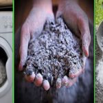 10 astuces étonnantes que vous pouvez faire avec du cendre (jardin et maison)
