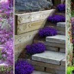 Décorer ses escaliers avec des plantes vivaces et des arbustes