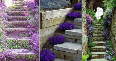 deco escalier plantes et fleurs