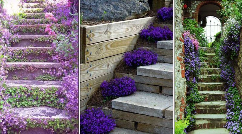 deco escalier plantes et fleurs