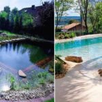 piscine naturelle
