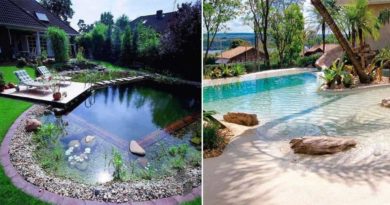 piscine naturelle