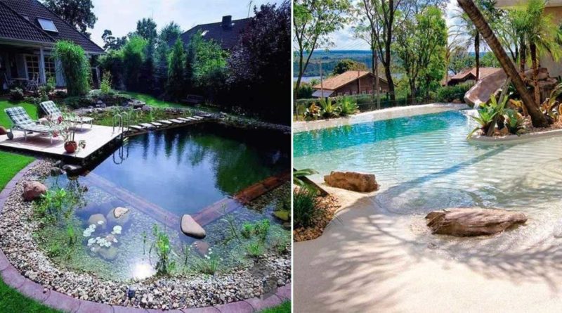 piscine naturelle