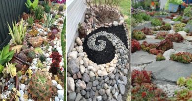 amenagement jardin rocailles