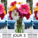 conserever fleurs coupée