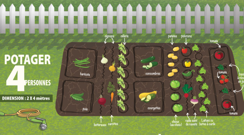 guide potager débutant