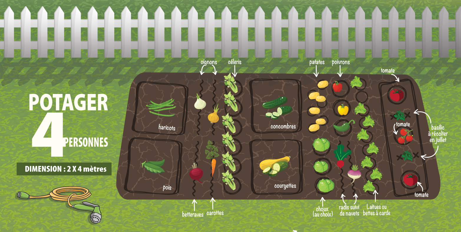 Potager Debutant Conseils Pour Demarrer Jardin Potager