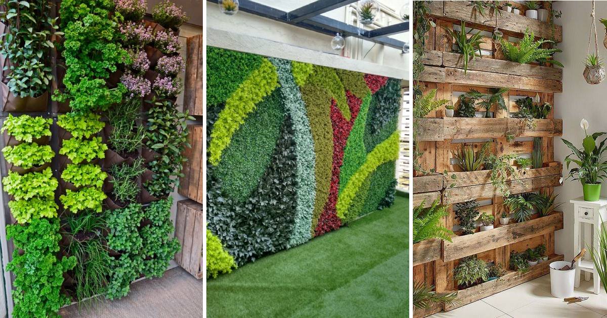 Mur Vegetal En Palette