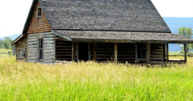 bardage maison bois