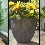 grands pots terrasse