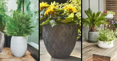 grands pots terrasse