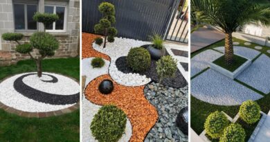 decoration jardin gravier