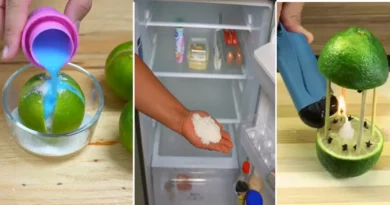 astuces anti odeurs maison