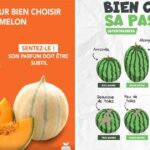 choisir fruit