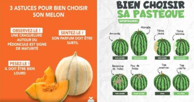 choisir fruit