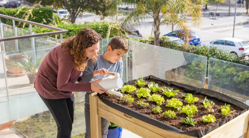 potager bio balcon